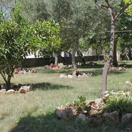 3589b * Sućuraj